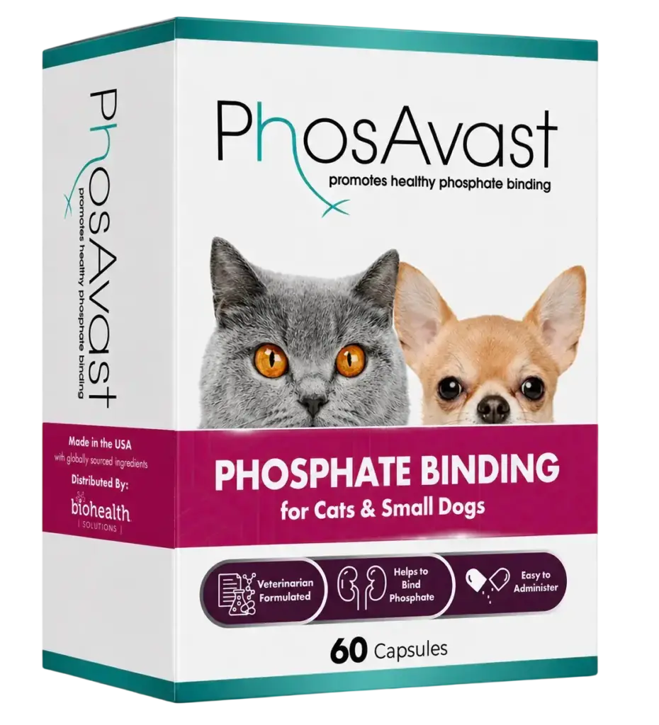Cat Blister PhosAvast-Photo